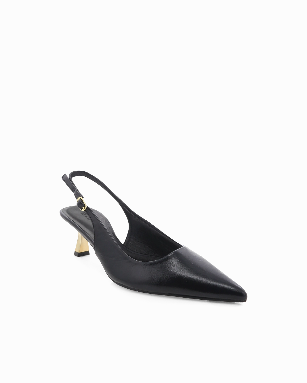 ANAYA - BLACK SHINE-GOLD