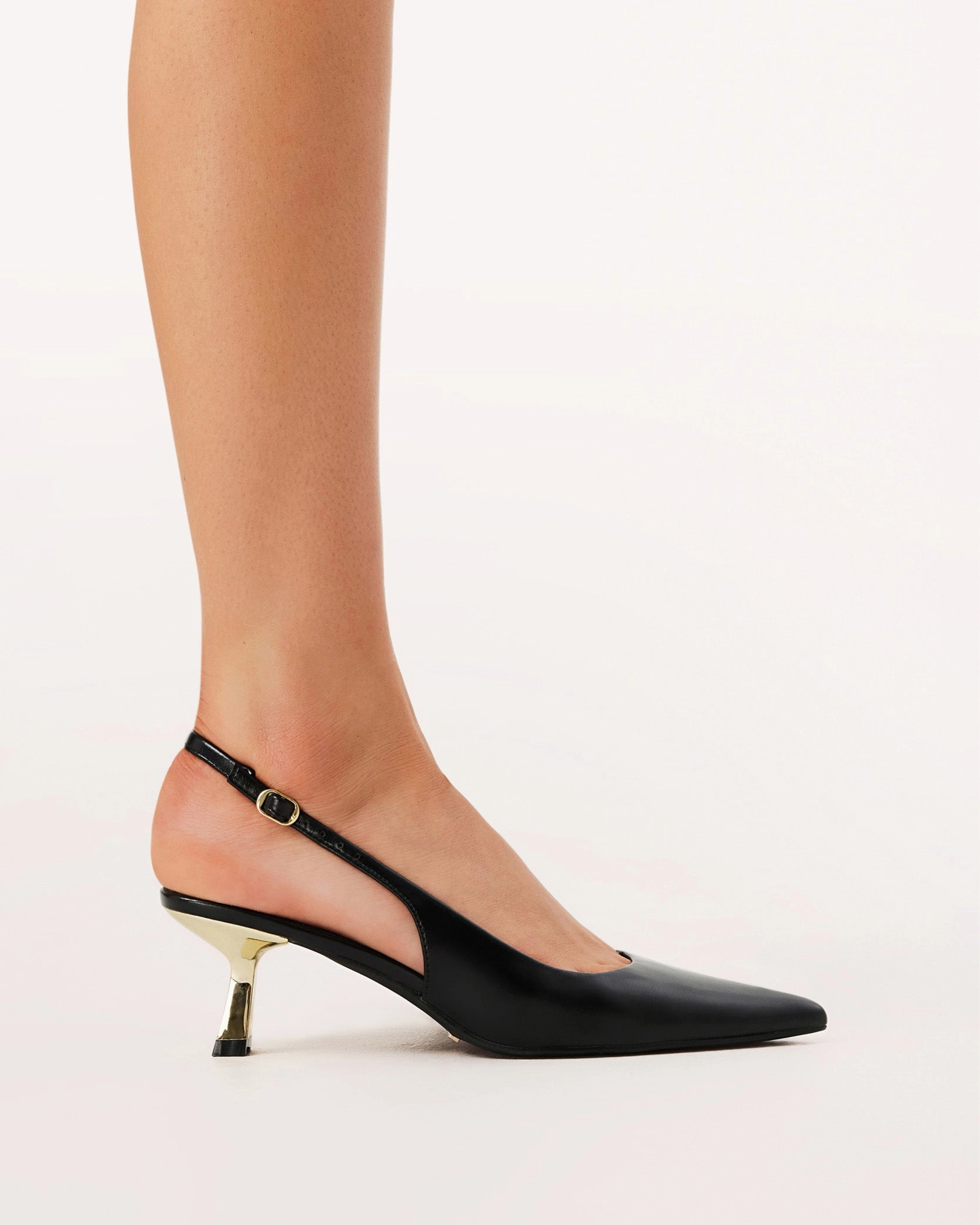 ANAYA - BLACK SHINE-GOLD