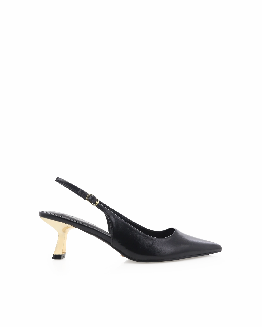 ANAYA - BLACK SHINE-GOLD