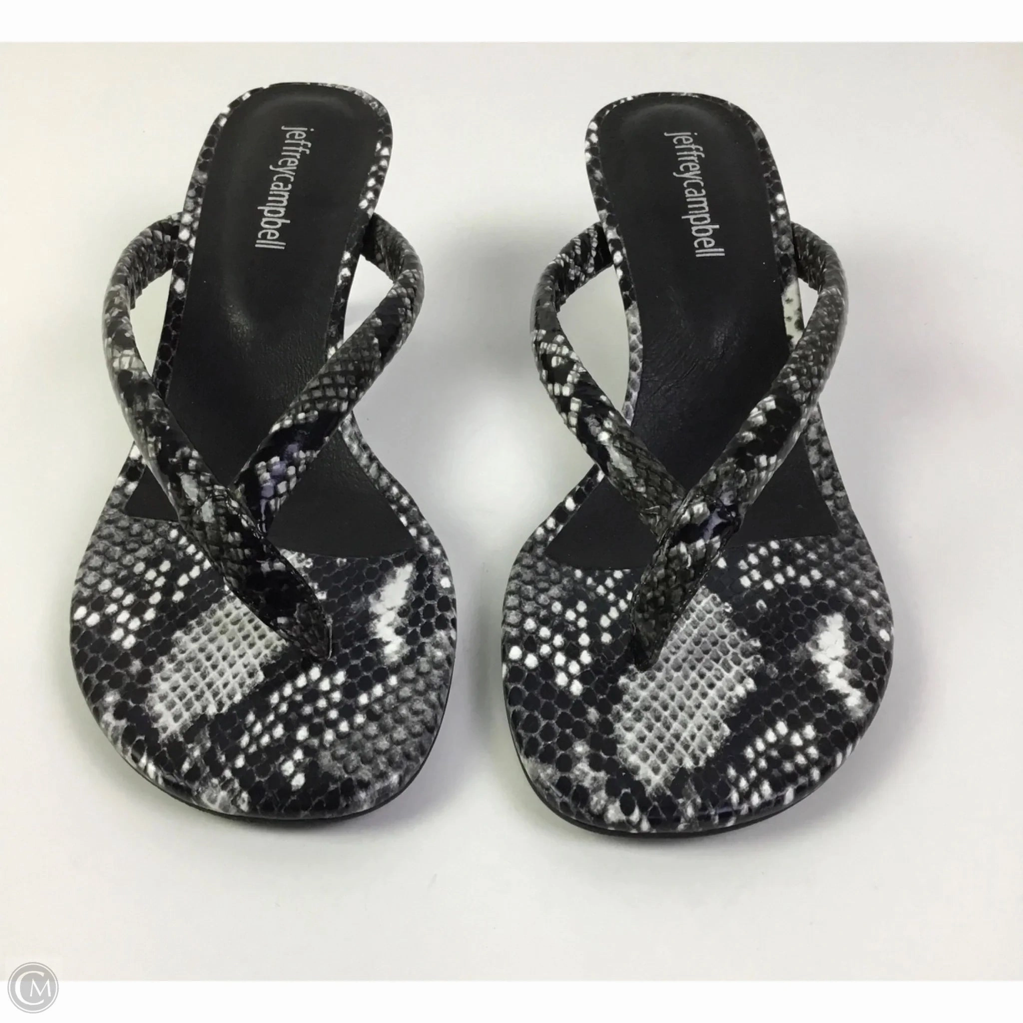 Sandals Heels Kitten By Jeffery Campbell In Snakeskin Print, Size: 7