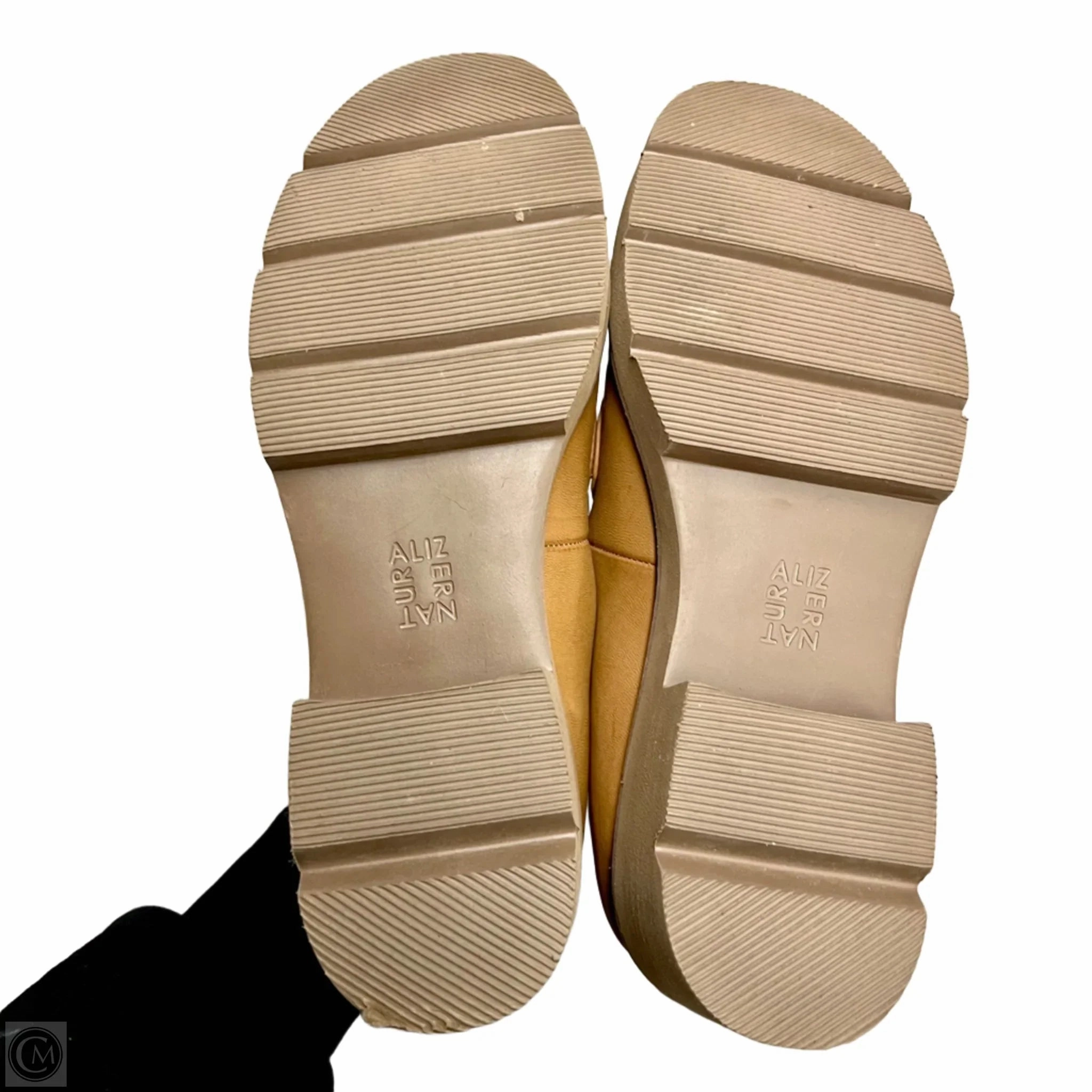 Shoes Heels Block By Naturalizer In Brown, Size: 9