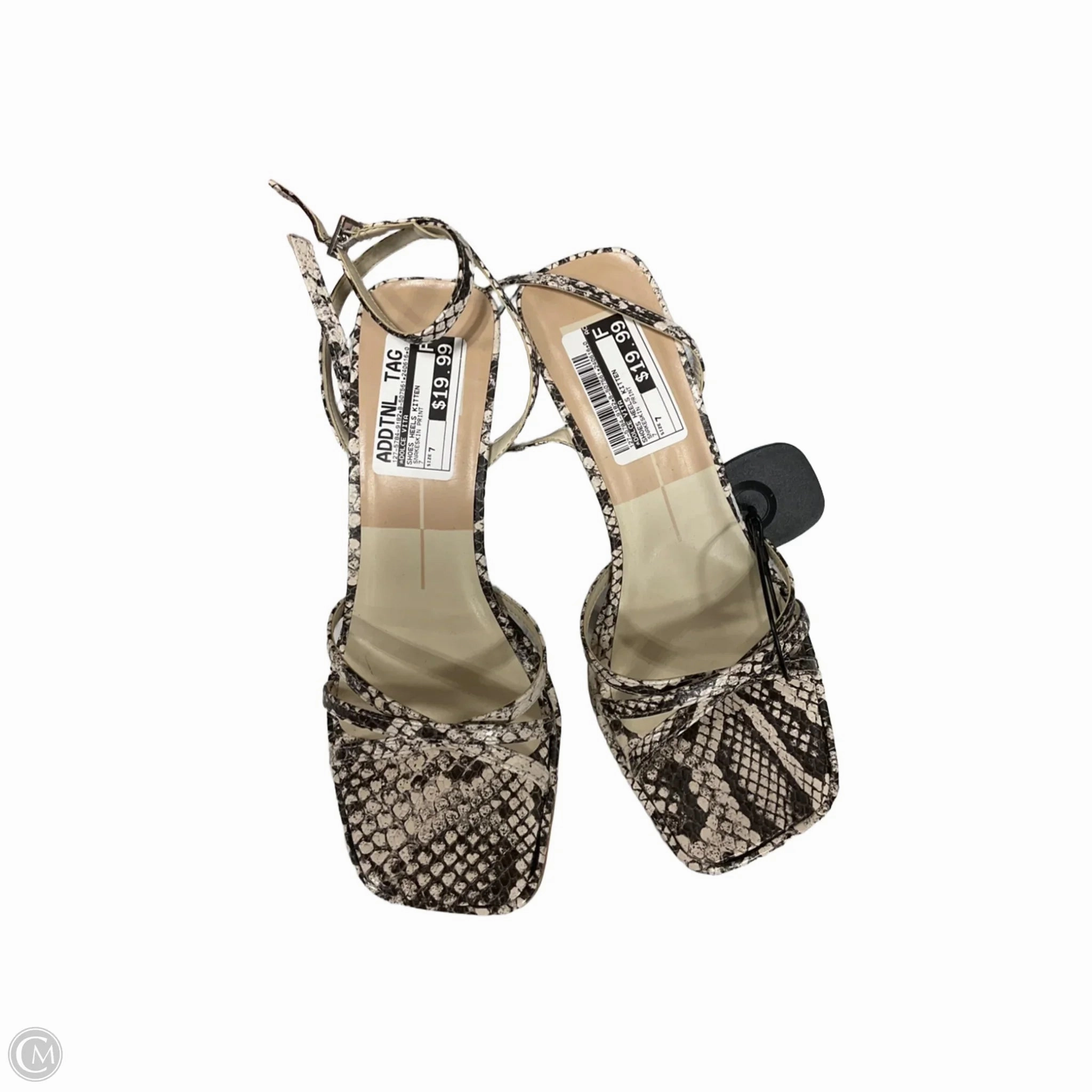 Shoes Heels Kitten By Dolce Vita In Snakeskin Print, Size: 7